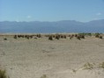 /album/fotogalerij/usa-2008-2-123-jpg/